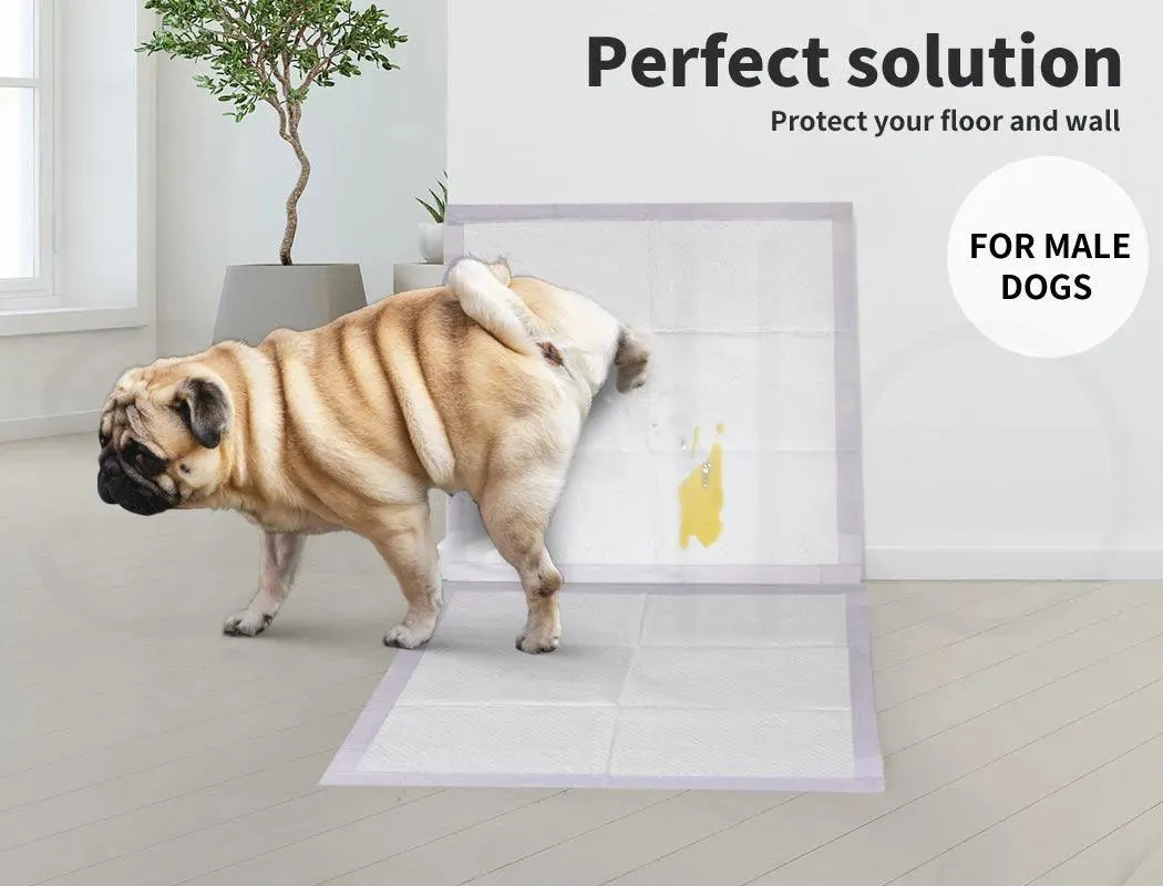PaWz Disposable Dog Pee Mat