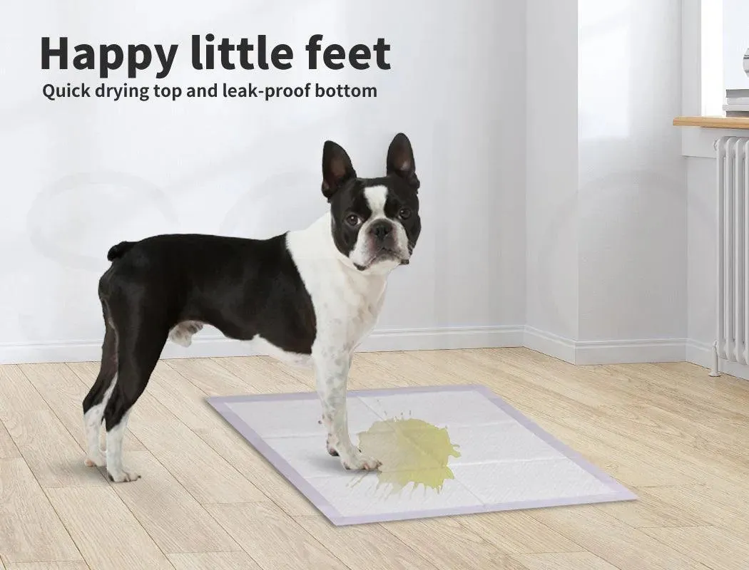 PaWz Disposable Dog Pee Mat