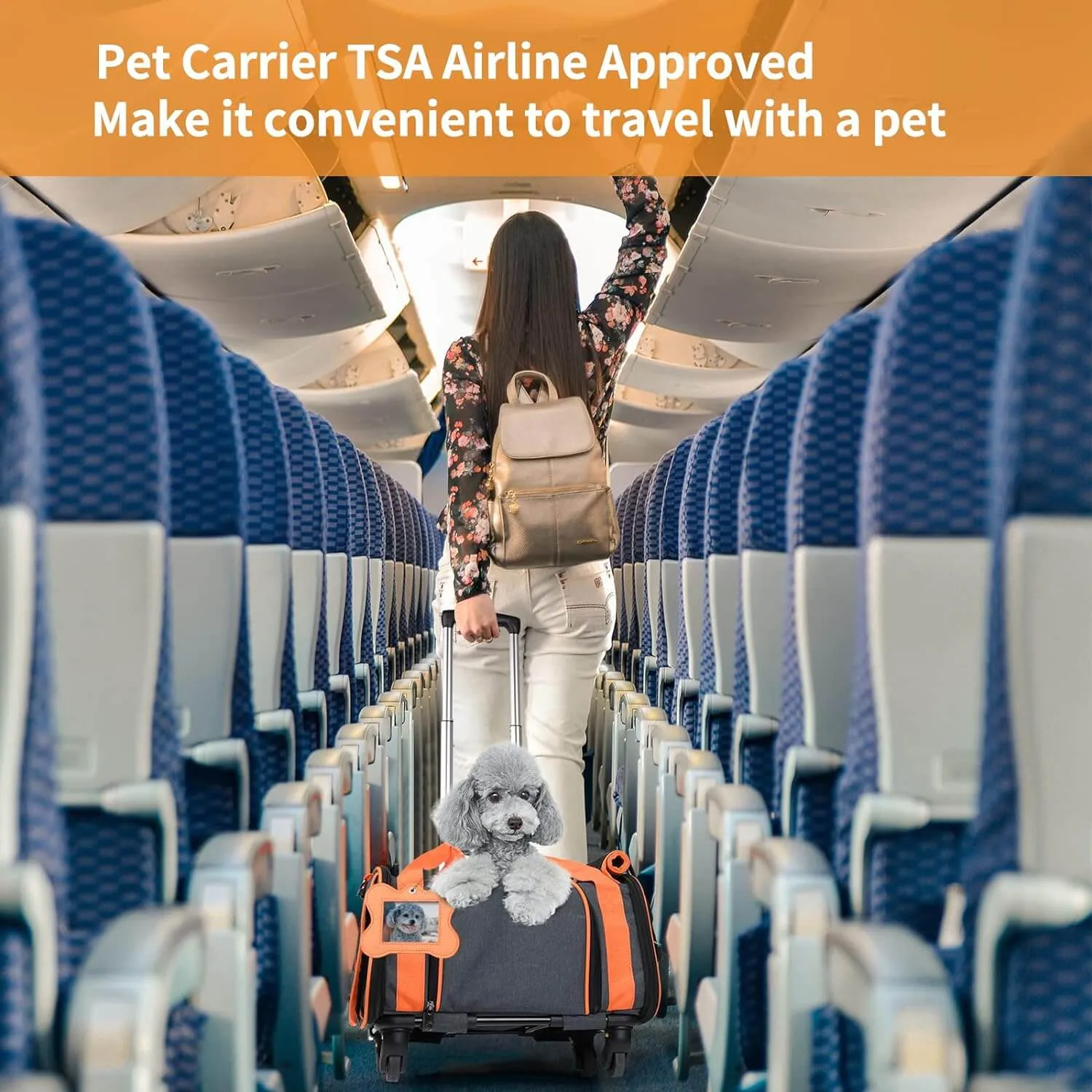 Pet Carrier Airline Approved for Small Dogs & Cats Puppy