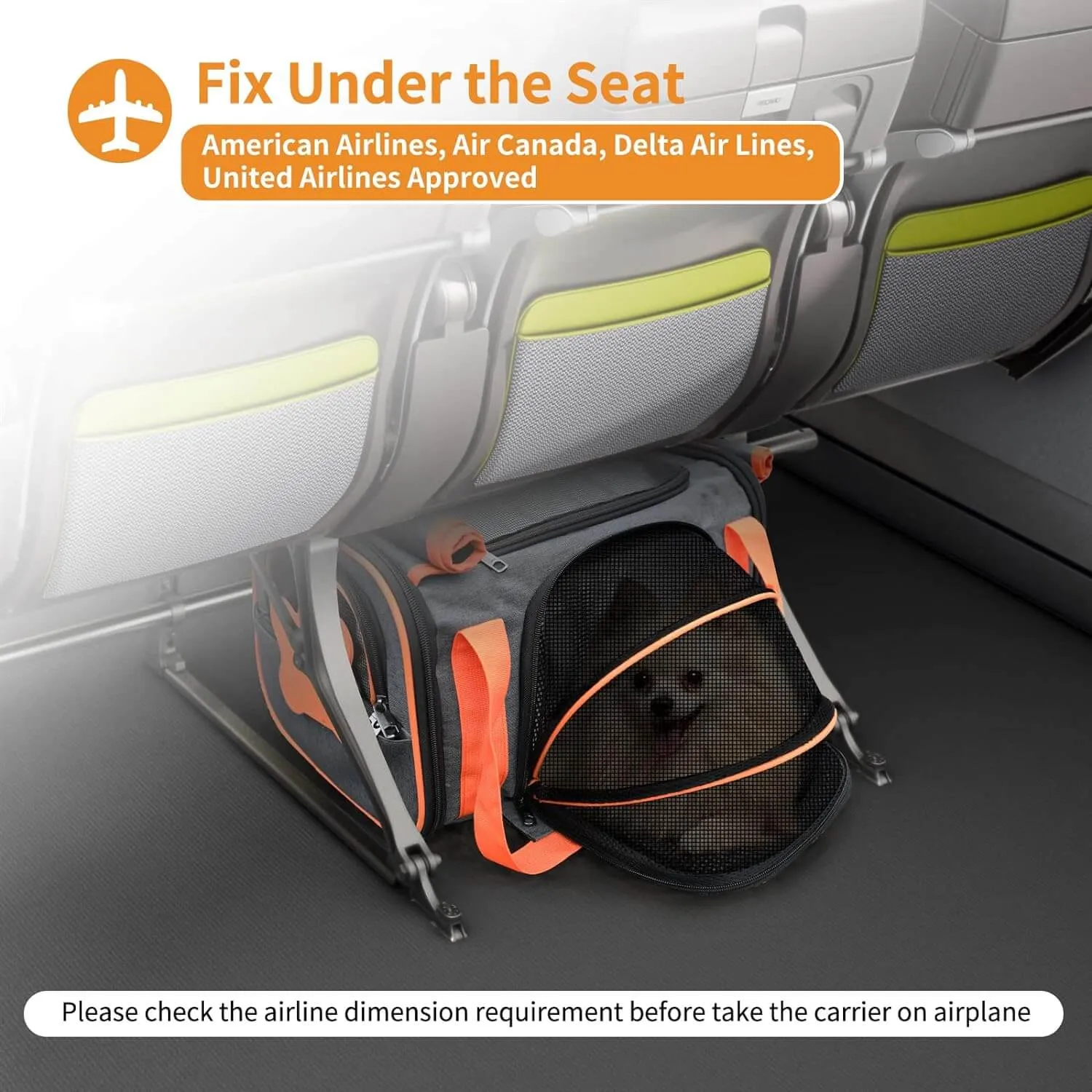 Pet Carrier Airline Approved for Small Dogs & Cats Puppy