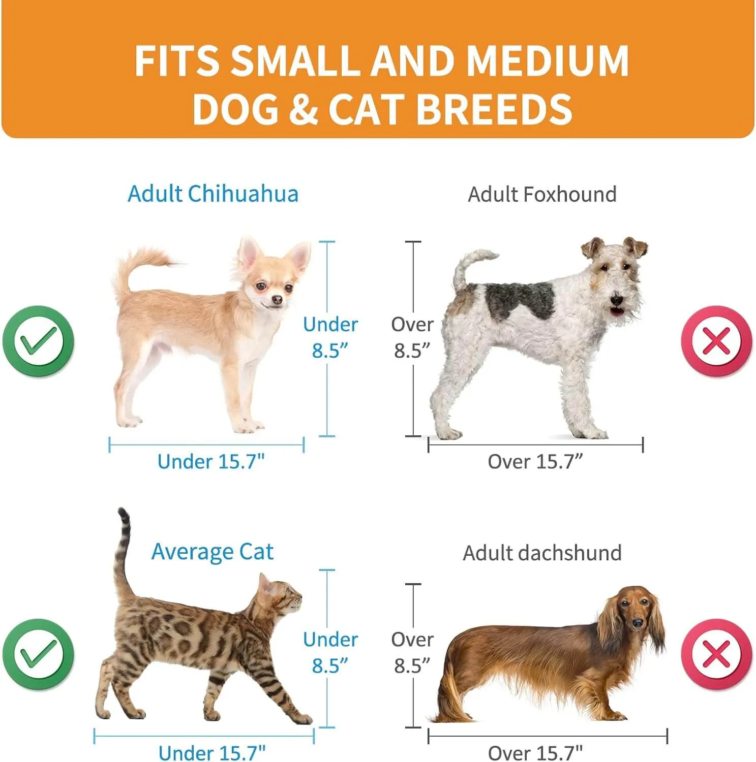 Pet Carrier Airline Approved for Small Dogs & Cats Puppy