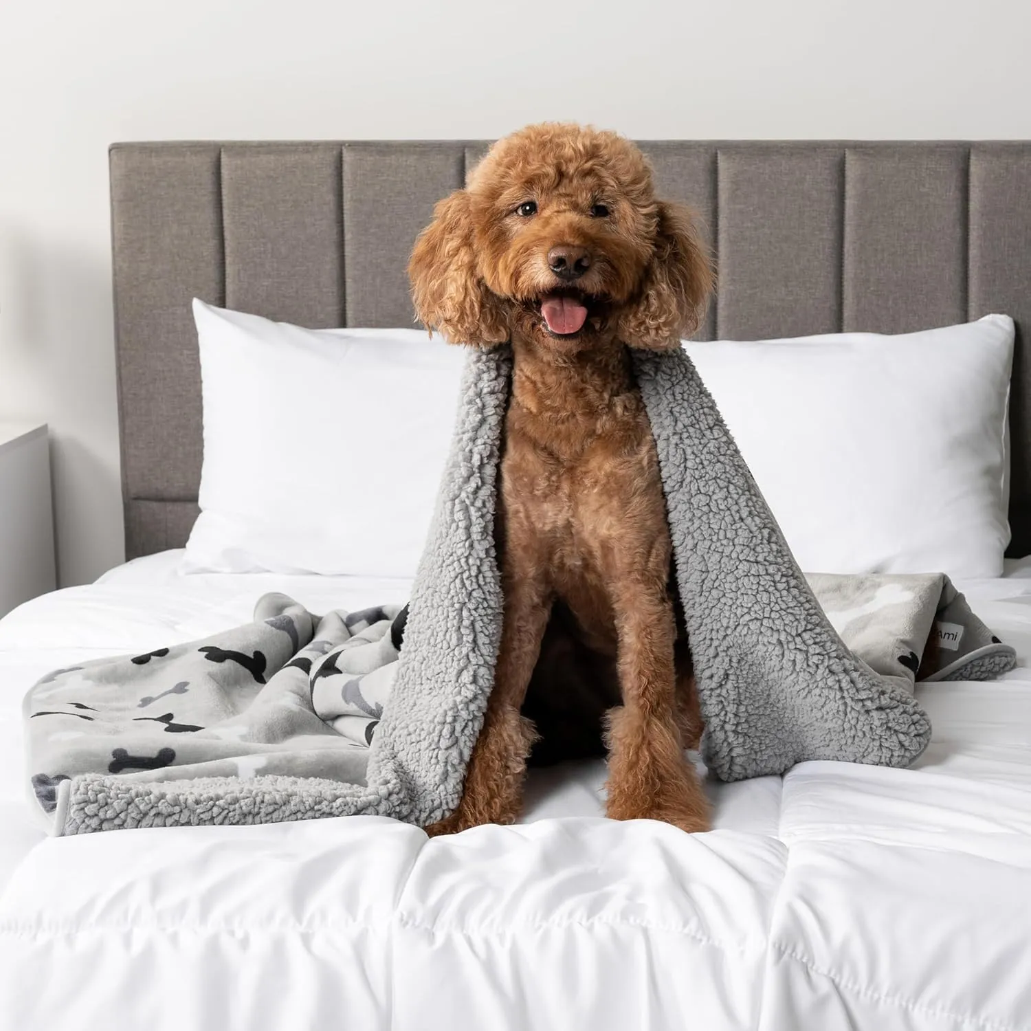 PetAmi Waterproof Dog Blanket for Small Medium Dogs, Pee Proof Pet Blanket for Couch Bed, Reversible Water Proof Blanket for Puppy Indoor Cat, Soft Dog Fleece Blankets Washable, 29x40 Bone Gray
