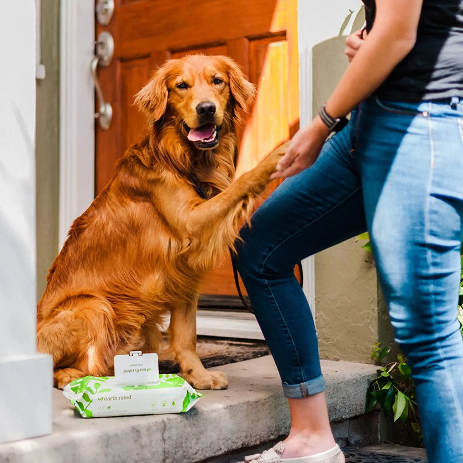 Plant Based Dog Wipes