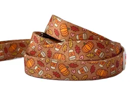 Pumpkin Spice - Recycled Eco-Friendly 5 ft Leash