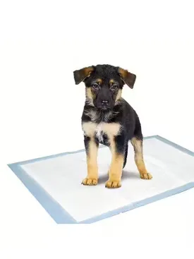 Puppy Pads
