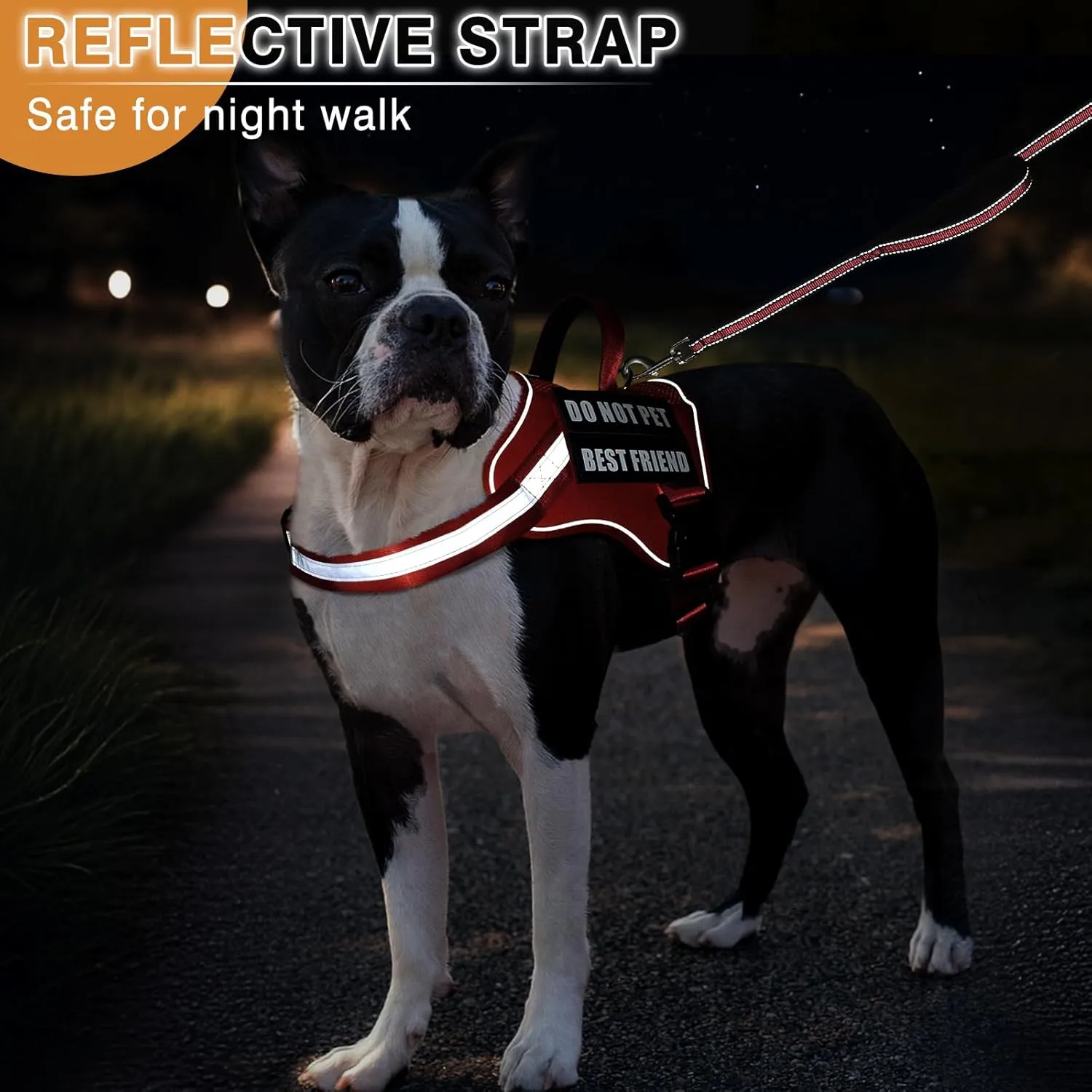 Service Dog Vest ID Tag Leash 6 Pcs Patches,Air Mesh Service Dog Harness with 2 Handles Dog Leash,2-Sided Metal Tag for Service Animals for Walking Training,No Pull Pet Harness Set Red M