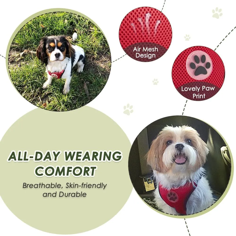 SlowTon Dog Seat Belt Harness for Car, Dog Car Harness Adjustable Mesh Breathable & Dog Seatbelt Safety Tether with Elastic Bungee for Small Medium Large Pets(Red, Single Clip, M)