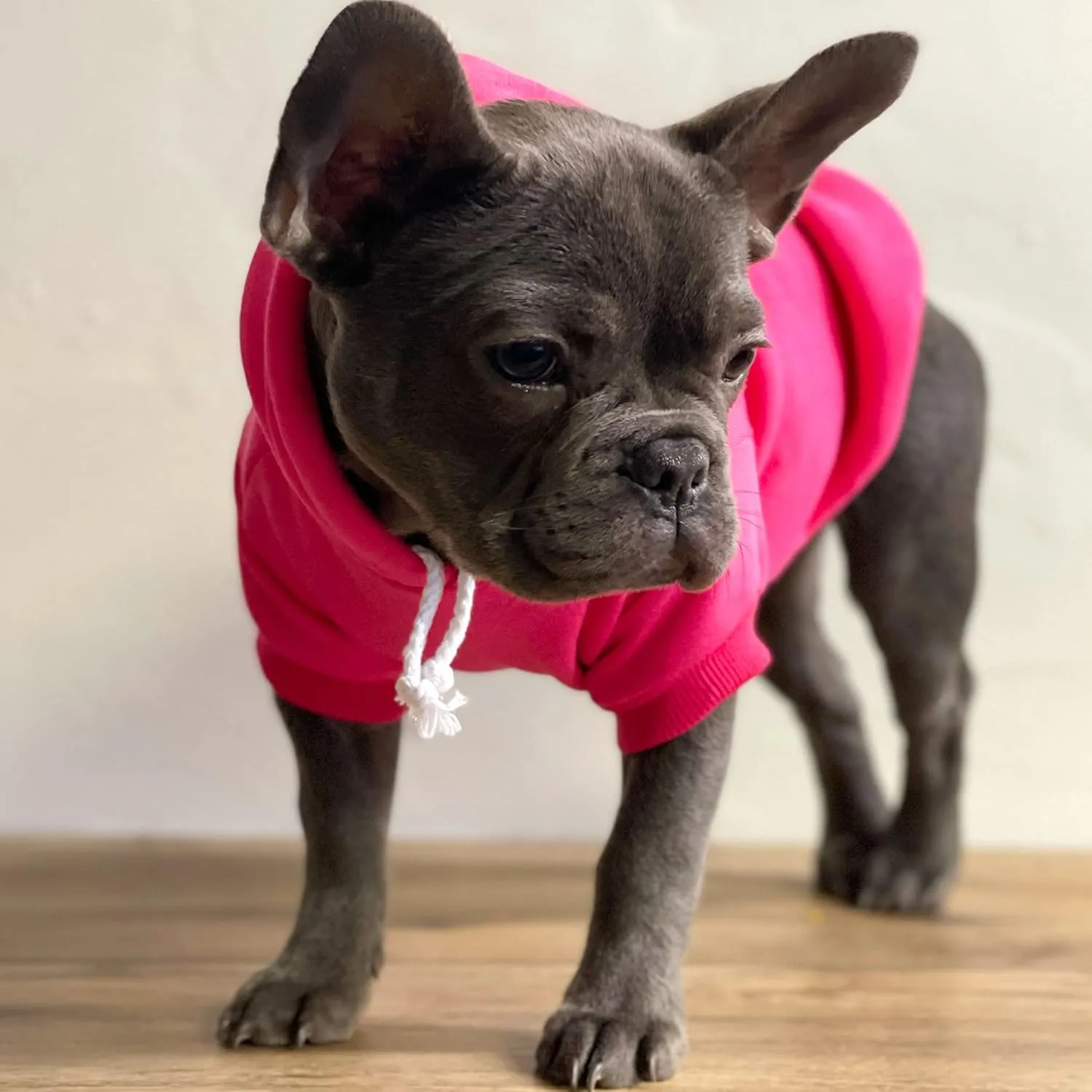 Soon to Be Big Sister Dog Hoodie Fleece Lined Pullover Sweatshirt with Leash Hole (Baby Pink, Small 56)