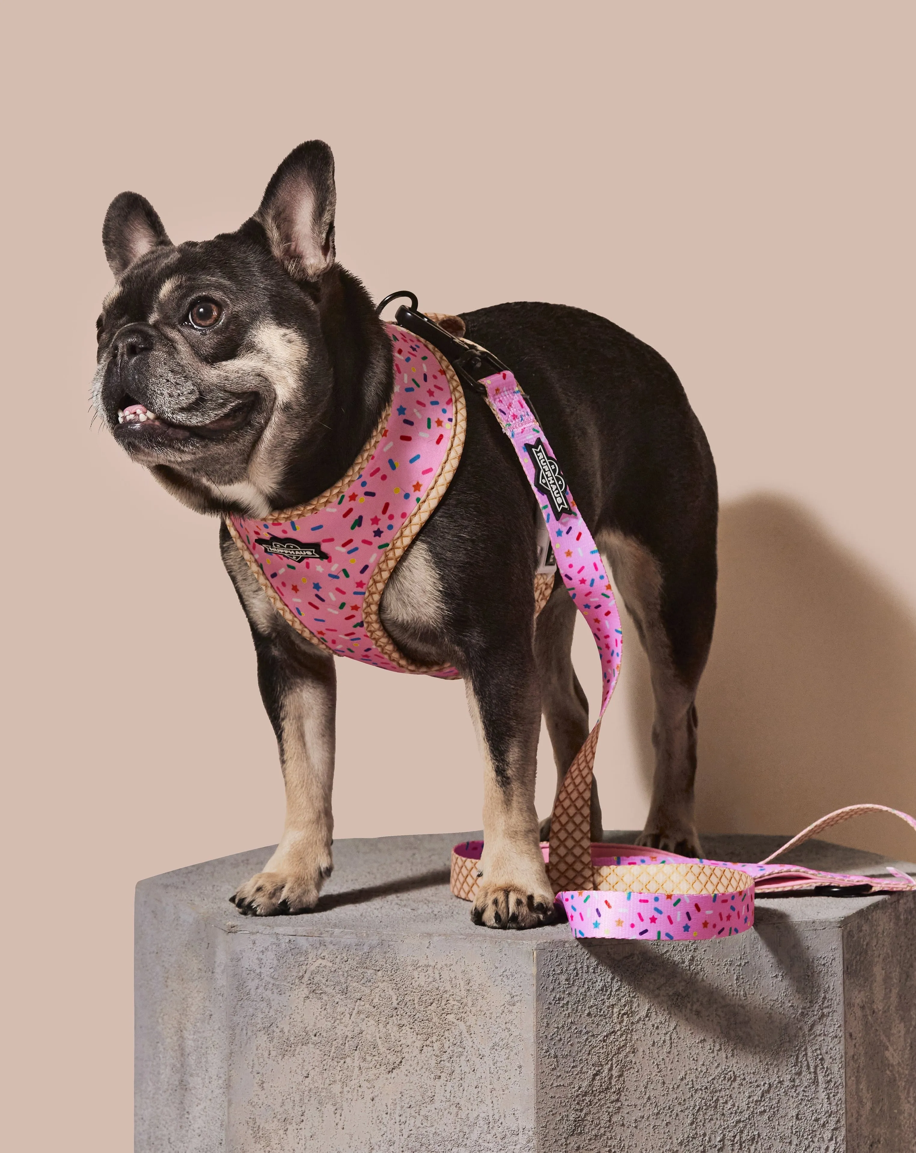 Sprinkle Me Pink Dog Leash