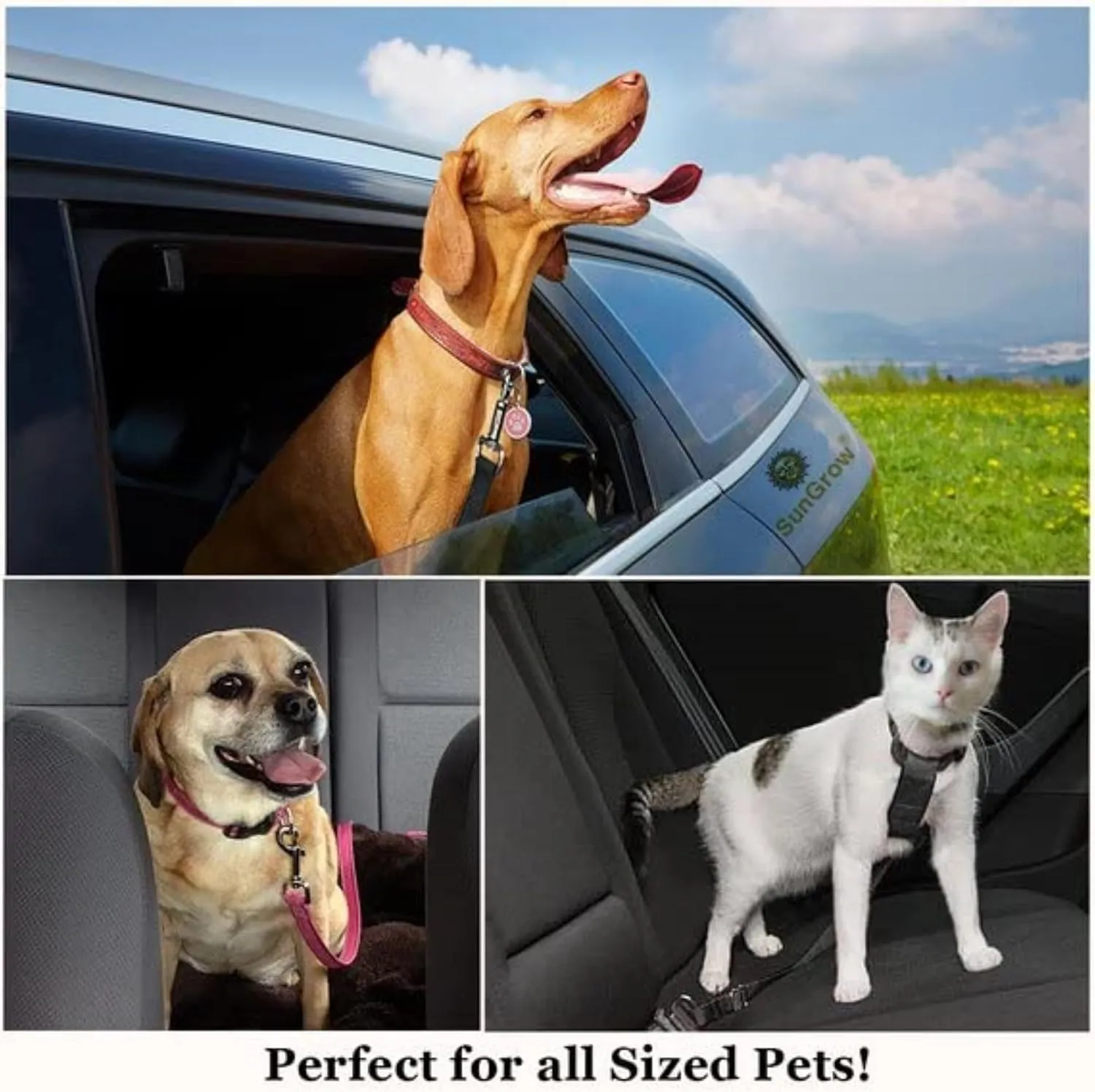 SunGrow Dog Seat Belt for Car, Adjustable Nylon Pet Seatbelt, Supports All Cars, Dog Car Leash Seat Belt, Seatbelt for Dogs, Cats & Ferrets Travel Harness