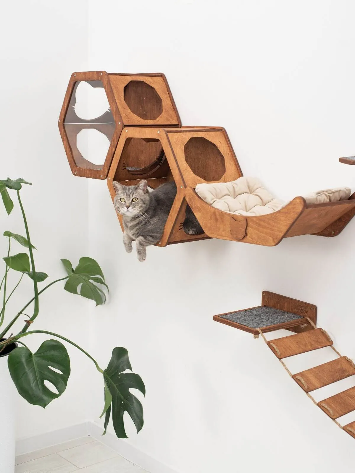 Wooden Cat Shelf Oak