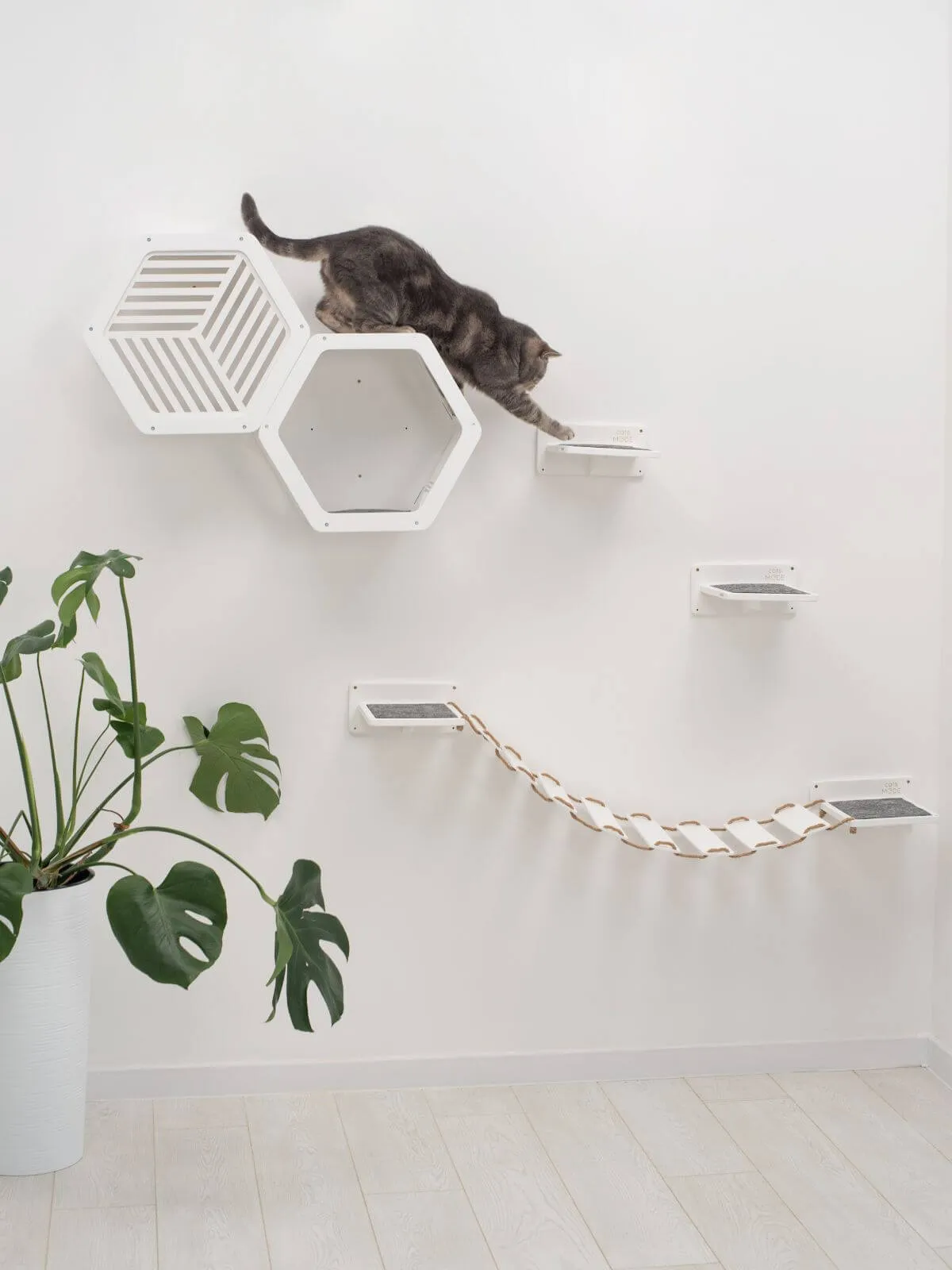 Wooden Cat Shelf Oak