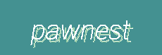 PawNest | Smart Comfort & Everyday Care for Modern Pet Living
